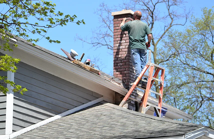 Chimney & Fireplace Inspections Services in Cedar Hill, TX